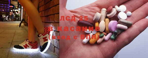 стаф Богородск