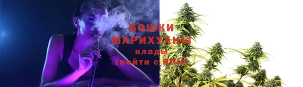 apvp Богородицк