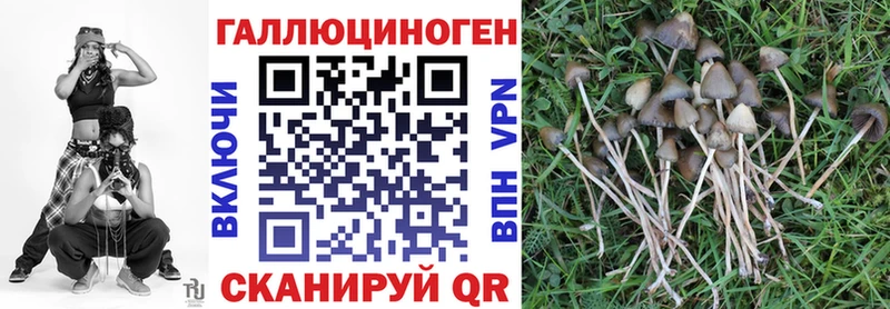 Псилоцибиновые грибы ЛСД где продают Дубовка